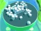 Roller Magnet — безплатна онлайн игра