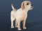 IDLE Pet — безплатна онлайн игра