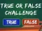  True Or False Challenge — безплатна онлайн игра