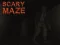 Scary Maze — безплатна онлайн игра