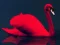 Love Birds Puzzle — безплатна онлайн игра