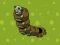 Zombie Worms — безплатна онлайн игра