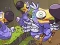 Save The Dodos — безплатна онлайн игра