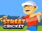 Street Cricket — безплатна онлайн игра