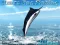 Azure Sea Fishing — безплатна онлайн игра