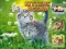 Kittens Jigsaw — безплатна онлайн игра