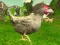 Chicken Shooter — безплатна онлайн игра