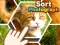 Sort Photograph — безплатна онлайн игра