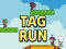 Tag Run — безплатна онлайн игра
