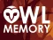 Owl Memory — безплатна онлайн игра