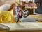 Bike Mania 4 Micro Office — безплатна онлайн игра