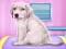 Labrador at the doctor salon — безплатна онлайн игра