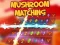 Mushroom matching — безплатна онлайн игра