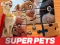 DC League of Super Pets Jigsaw Puzzle — безплатна онлайн игра