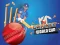 Cricket World Cup Game — безплатна онлайн игра