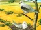 Birds Of Prey Puzzle — безплатна онлайн игра