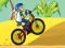 BMX Boy Online — безплатна онлайн игра