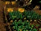 Pixel Farm — безплатна онлайн игра