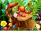 Hidden Objects Insects — безплатна онлайн игра
