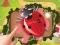 Bugs Bang — безплатна онлайн игра