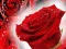 Red Roses — безплатна онлайн игра