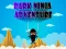 Dark Ninja Adventure — безплатна онлайн игра