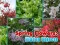 Spring Flowers: Hidden Objects — безплатна онлайн игра