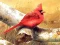 Art Birds Puzzle — безплатна онлайн игра