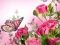 Butterflies Puzzle — безплатна онлайн игра
