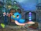Singing Bird Escape — безплатна онлайн игра