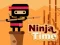 Ninja Time — безплатна онлайн игра