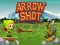 Arrow Shoot — безплатна онлайн игра