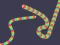 Slither Classic — безплатна онлайн игра
