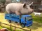 Driver Master Simulator — безплатна онлайн игра