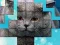 PicPu Cat — безплатна онлайн игра