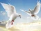 Flying Birds — безплатна онлайн игра