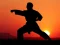 Karate Sunset Warriors — безплатна онлайн игра