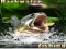 Backwater Fishing — безплатна онлайн игра