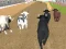 Angry Bull Racing — безплатна онлайн игра