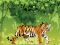 Angry Tiger Coloring — безплатна онлайн игра