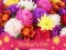 2019 Mother's Day Puzzle — безплатна онлайн игра