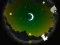 Alpaca Run — безплатна онлайн игра