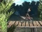 Bike Trial Xtreme Forest — безплатна онлайн игра