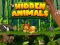 Hidden Animals — безплатна онлайн игра