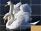Animals Slide Puzzle — безплатна онлайн игра