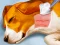 Dog Hospital — безплатна онлайн игра