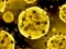 Coronavirus Slide — безплатна онлайн игра