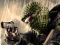 Terrorist Shootout — безплатна онлайн игра