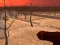 Wasteland Shooters — безплатна онлайн игра