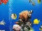 Sea Underwater Difference — безплатна онлайн игра